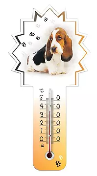 Температура тела у взрослых собак и щенков. Как измерить температуру собаке.