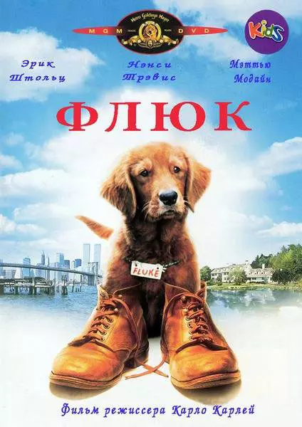 Фильмы про собак на все времена