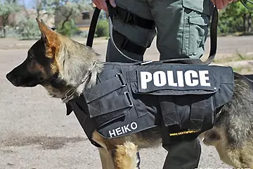 Одежда для собак: виды  и назначение