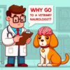 🐶 Зачем идти к ветеринарному врачу-неврологу